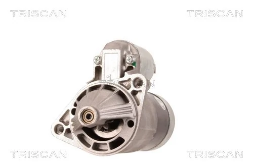 TRISCAN 8305 25007