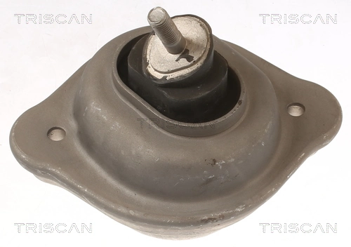 TRISCAN 8505 11119