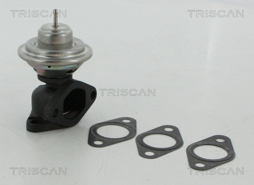 TRISCAN 8813 12100