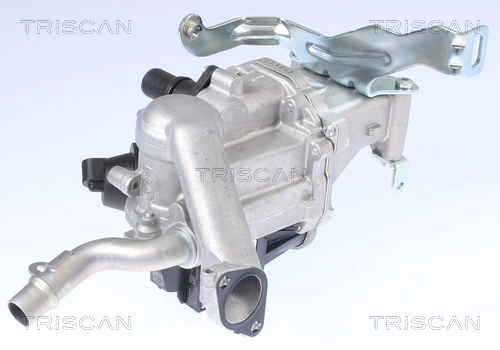 TRISCAN 8813 10106