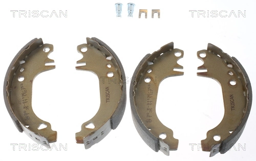TRISCAN 8100 10407