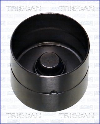 TRISCAN 80-16002