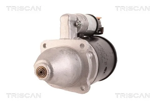 TRISCAN 8305 10130