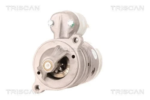 TRISCAN 8305 29026