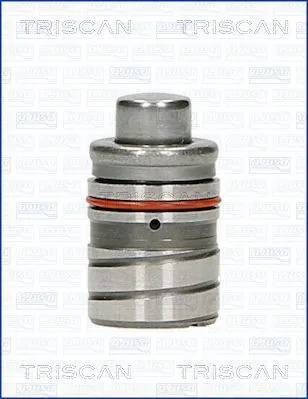 TRISCAN 80-50000