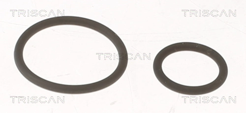 TRISCAN 596-1001