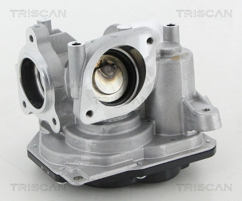 TRISCAN 8813 10031