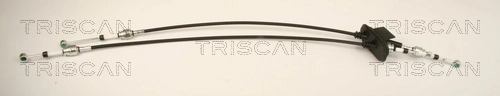 TRISCAN 8140 15718