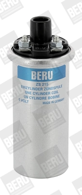 BorgWarner (BERU) ZS215