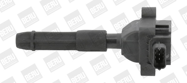 BorgWarner (BERU) ZS041