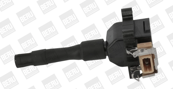BorgWarner (BERU) ZS014