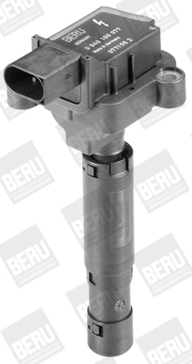 BorgWarner (BERU) ZS077