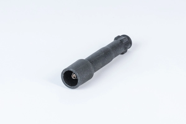 BorgWarner (BERU) ZLE232