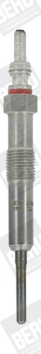 BorgWarner (BERU) GE110