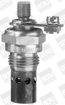 BorgWarner (BERU) GF166