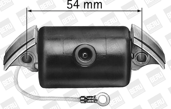 BorgWarner (BERU) ZA510