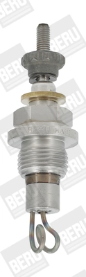 BorgWarner (BERU) GD12