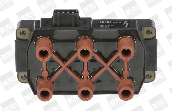 BorgWarner (BERU) ZS230