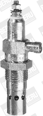 BorgWarner (BERU) 0101223425