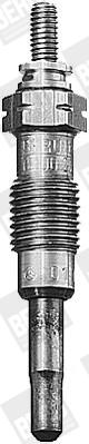 BorgWarner (BERU) G5SB