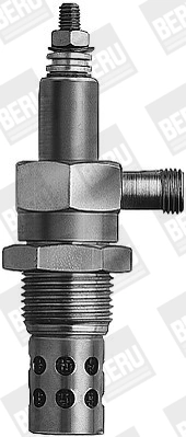 BorgWarner (BERU) GF138