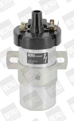 BorgWarner (BERU) ZS124