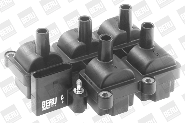 BorgWarner (BERU) ZS037