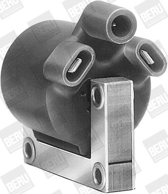 BorgWarner (BERU) ZA503