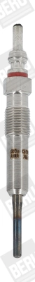 BorgWarner (BERU) GE111