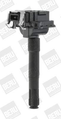 BorgWarner (BERU) ZS017
