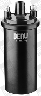 BorgWarner (BERU) ZS121