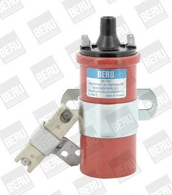 BorgWarner (BERU) ZS110