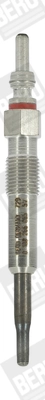 BorgWarner (BERU) GE119