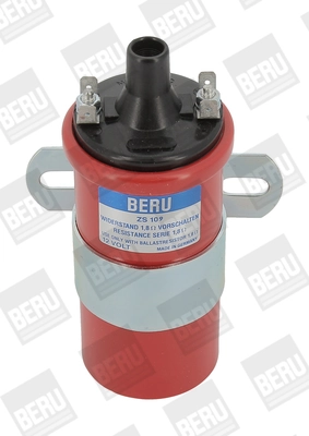 BorgWarner (BERU) ZS109