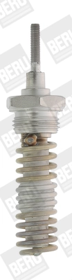 BorgWarner (BERU) GD203