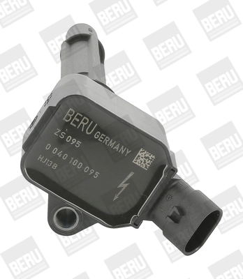 BorgWarner (BERU) ZS095