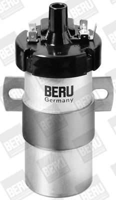 BorgWarner (BERU) ZS123