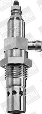 BorgWarner (BERU) 0101233496