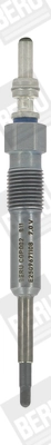 BorgWarner (BERU) CGP002