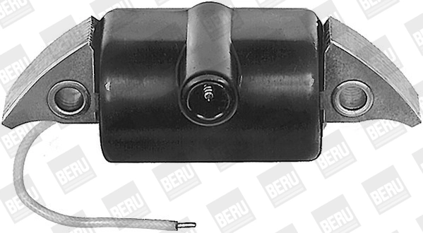BorgWarner (BERU) ZA504