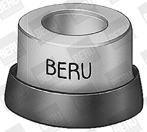 BorgWarner (BERU) GDS3