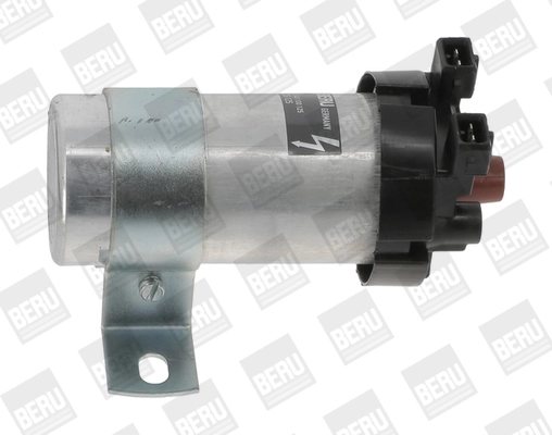 BorgWarner (BERU) ZS125