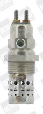 BorgWarner (BERU) GF529