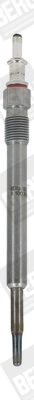 BorgWarner (BERU) GE104
