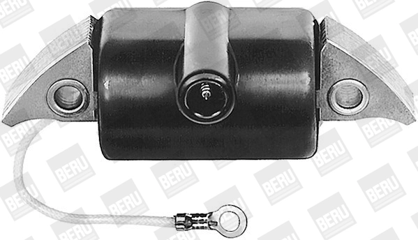 BorgWarner (BERU) ZA507