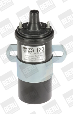 BorgWarner (BERU) ZS120