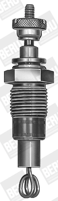 BorgWarner (BERU) GD214