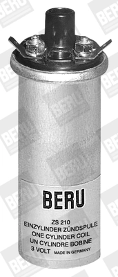 BorgWarner (BERU) ZS210