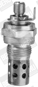 BorgWarner (BERU) GF163