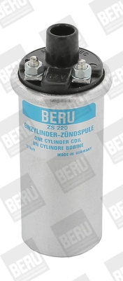 BorgWarner (BERU) ZS220
